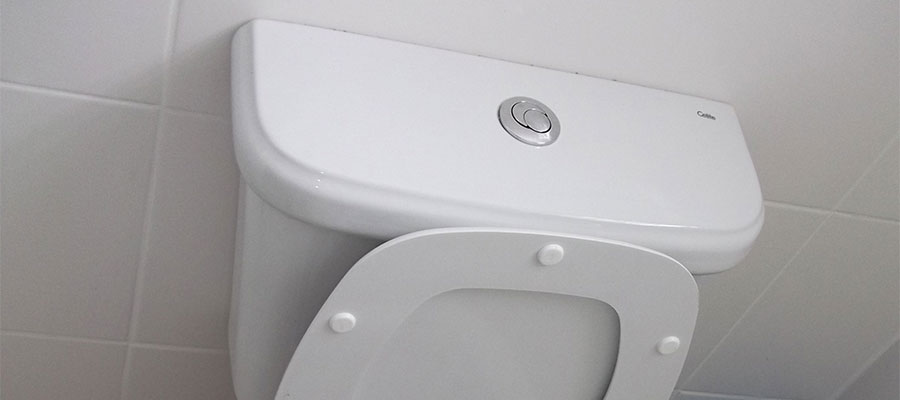 push button loo flush